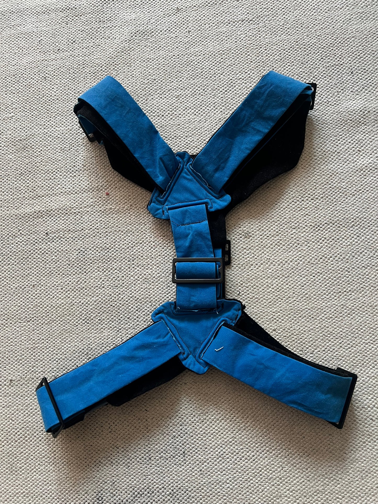Blue Harness with Black Lining