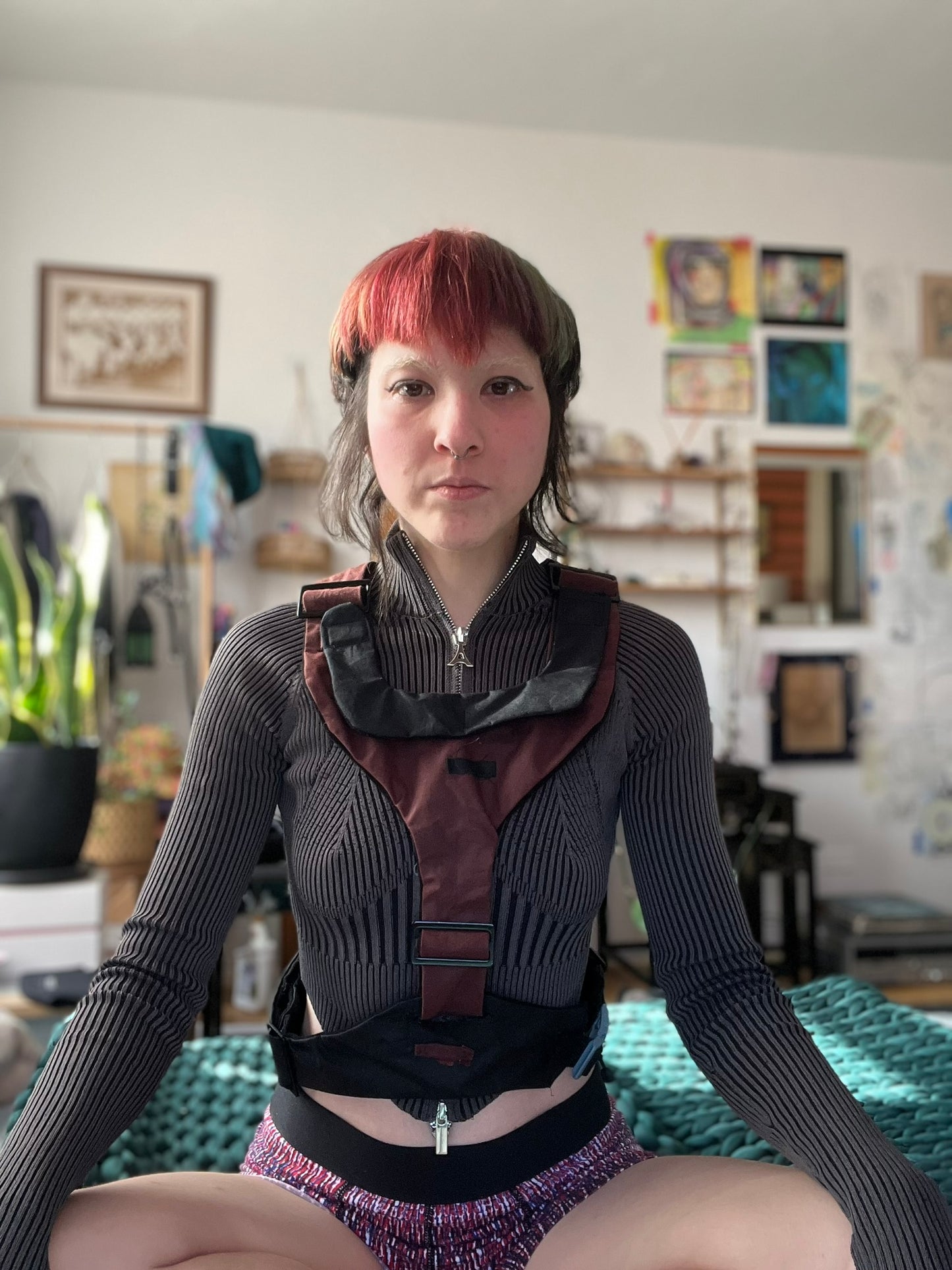 Burgundy with Black Harness