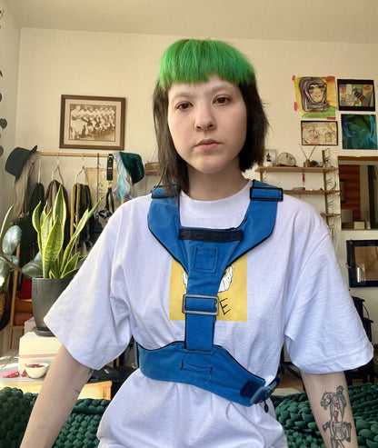 Blue Harness with Black Lining