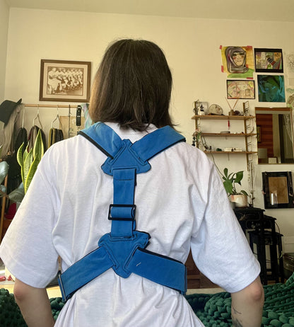 Blue Harness with Black Lining