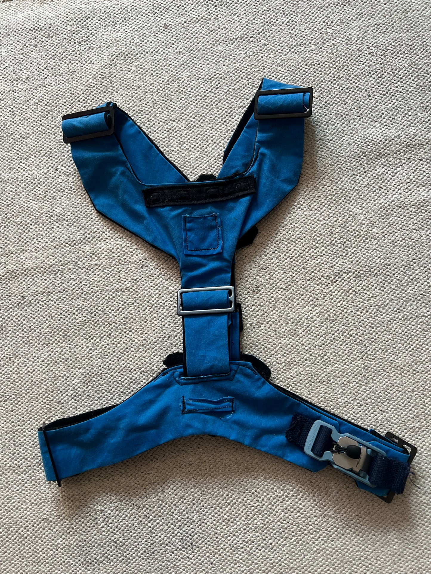 Blue Harness with Black Lining
