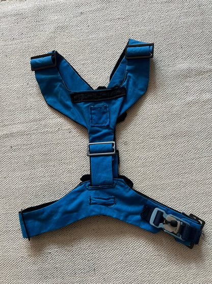 Blue Harness with Black Lining