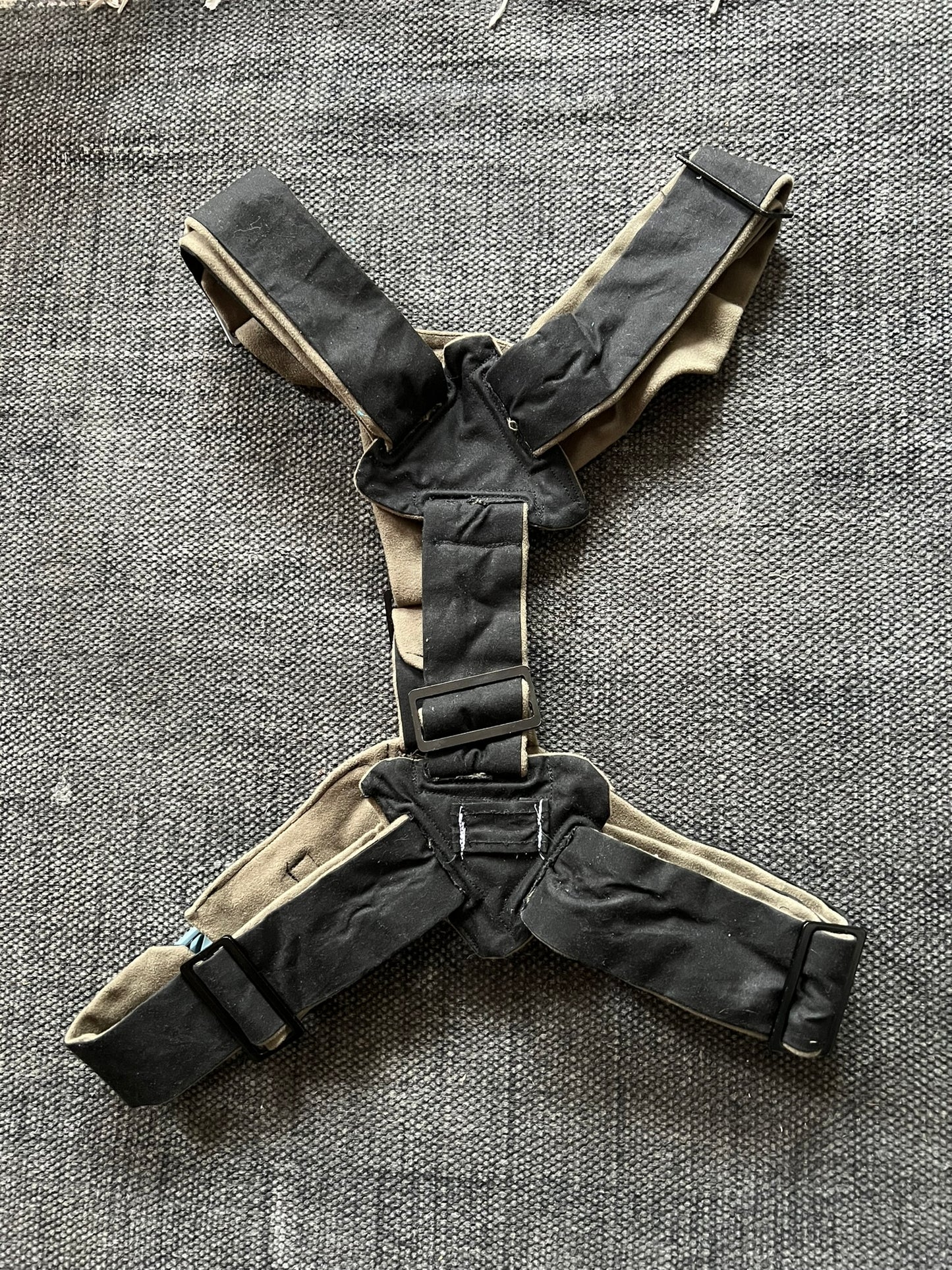 Black Harness with Moss Color Lining