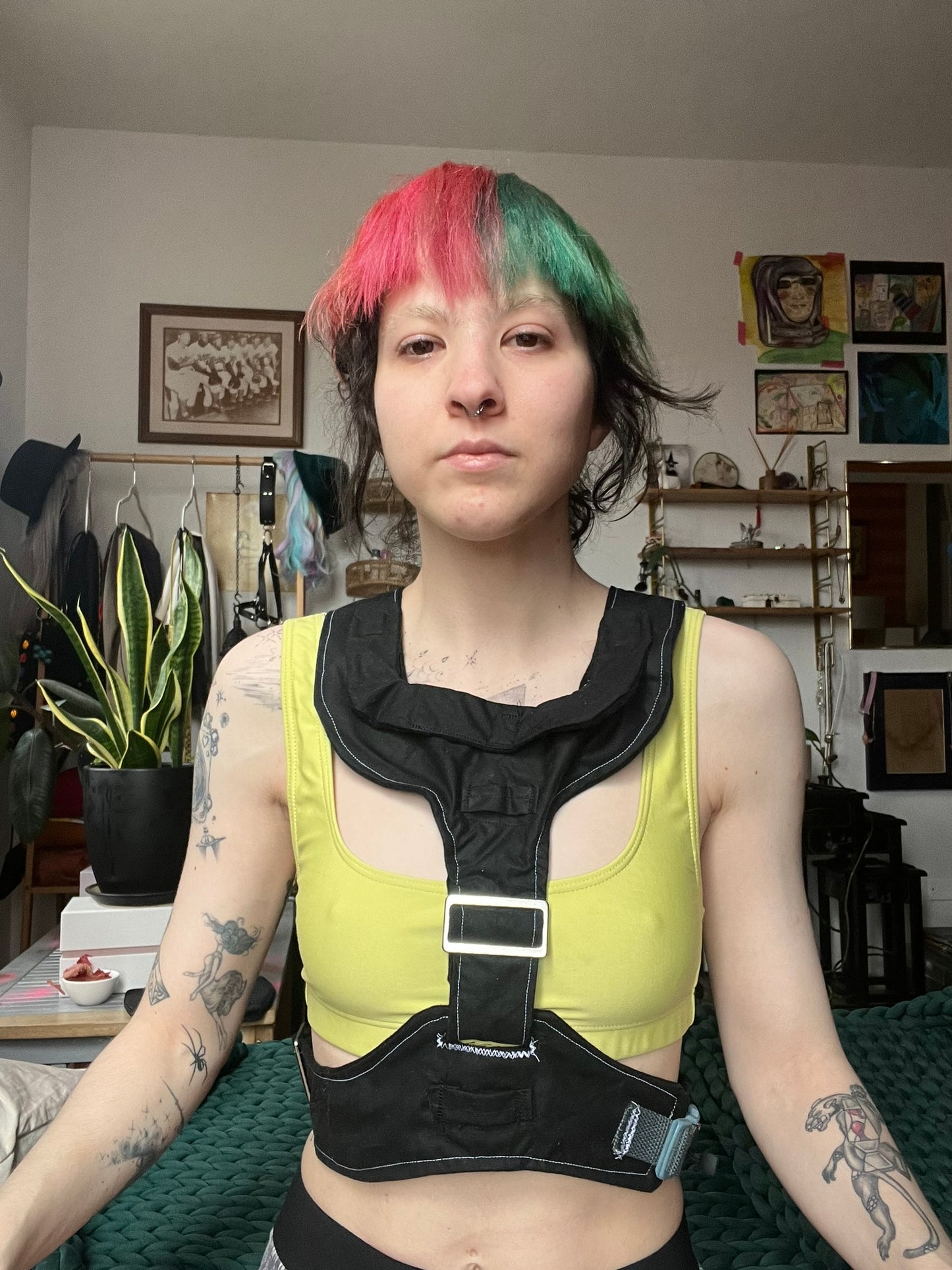 Black Harness with White Topstitch