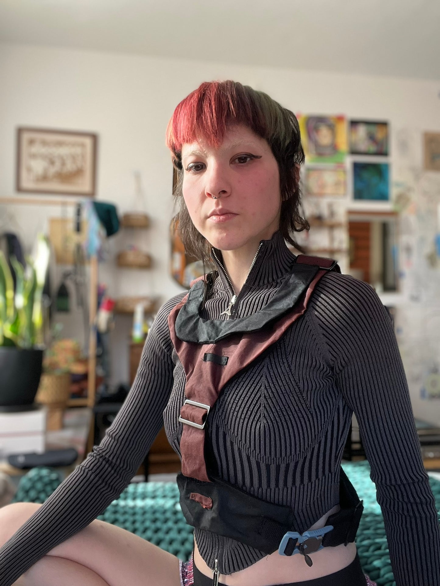 Burgundy with Black Harness
