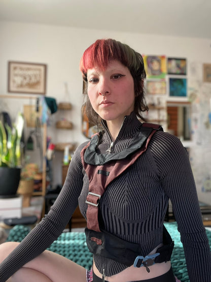 Burgundy with Black Harness