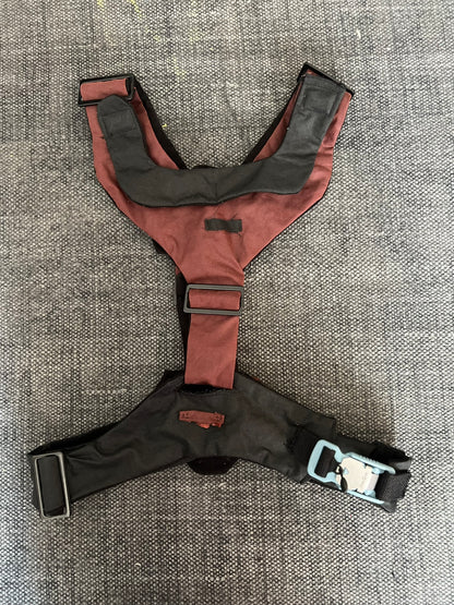 Burgundy with Black Harness